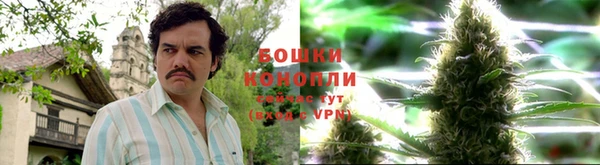 PSILOCYBIN Зерноград