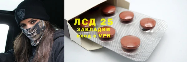 PSILOCYBIN Зерноград