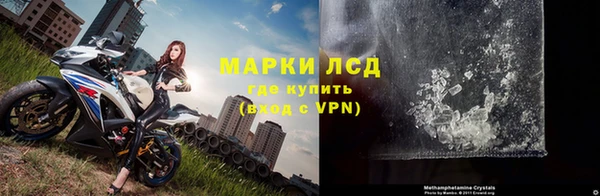 PSILOCYBIN Зерноград