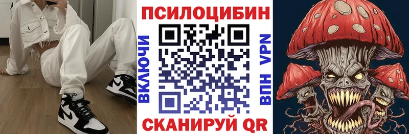 закладка  Сычёвка  Галлюциногенные грибы MAGIC MUSHROOMS 