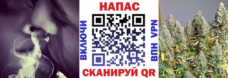 купить наркотик  Сычёвка  Канабис OG Kush 